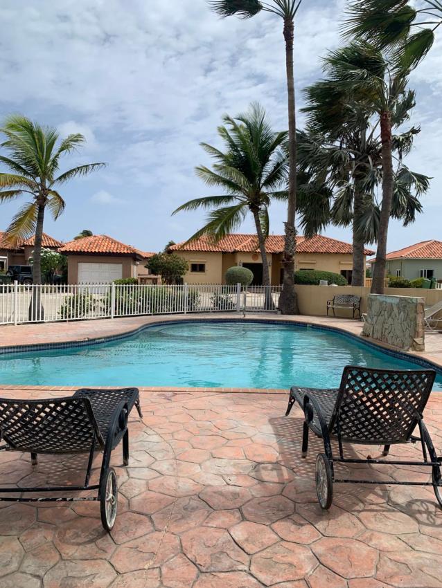 Tortuga-Iguana Studio Noord Aruba