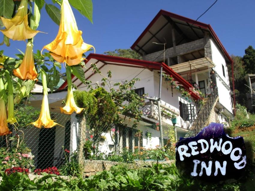 Redwood Homestay