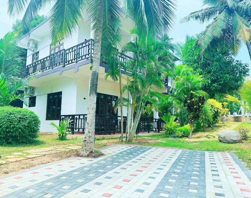 Shine Wave Turtle Beach