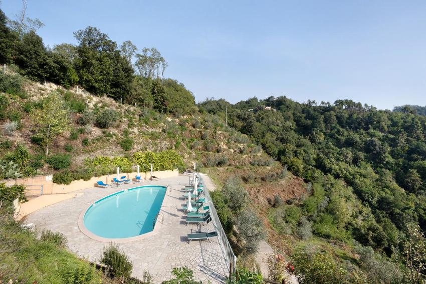 gli ulivi di montalbano 1