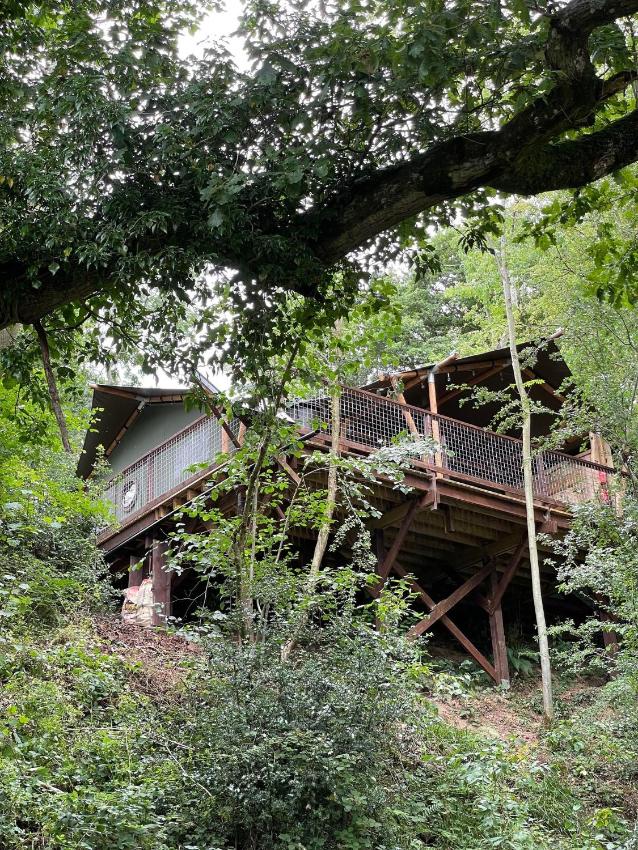 Riverside Safari Tent Glamping Hay-on-Wye