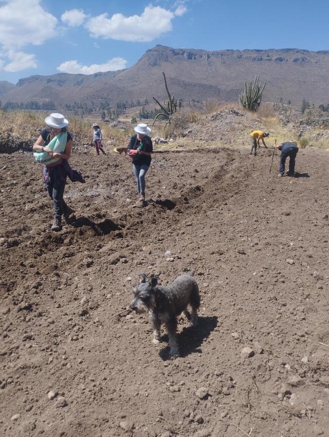 Casa vivencial Mama Vivi