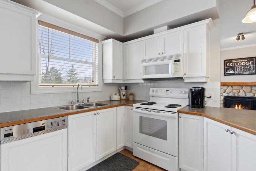 Historical Snowbridge Condo 89894