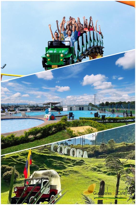 GUADUALES DEL CAFÉ B-409