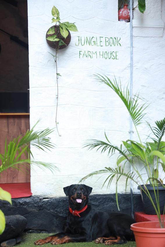Junglebook Farmhouse