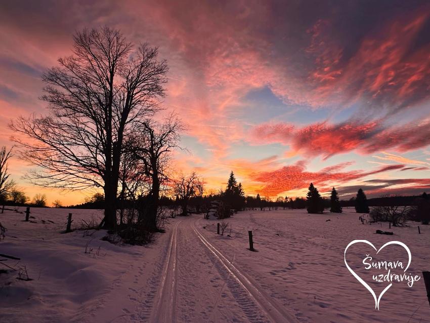 Hájenka Knížecí Pláně