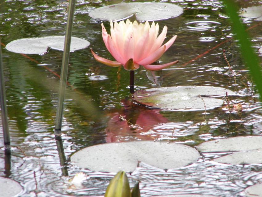 Ferienwohnung Seeblick