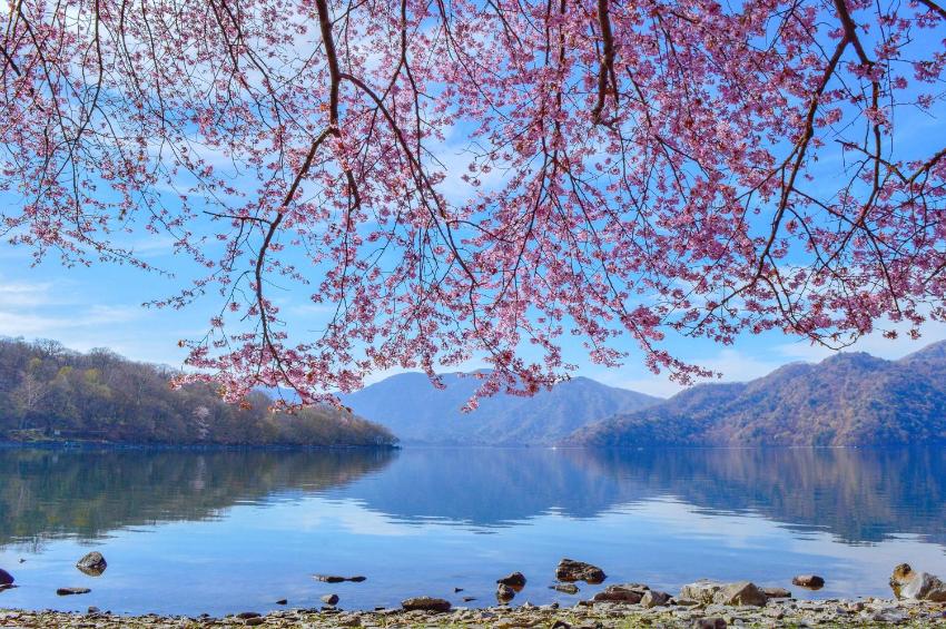 KAMENOI HOTEL Okunikko