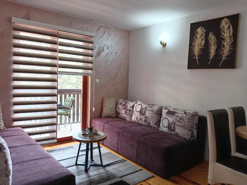 Simic Apartmani Tara