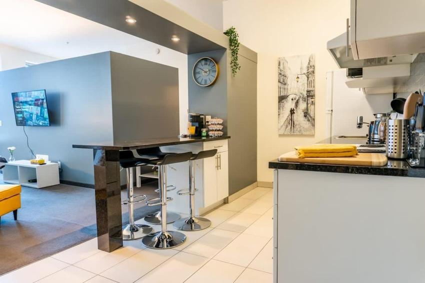 New Listing Luxurious Downtown Loft Heated Parking Rooftop Patio BBQ Gym Coffee