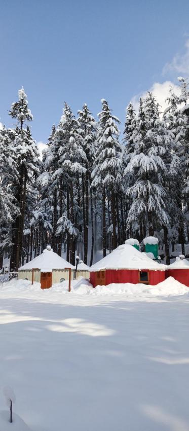 The Glamping Spot Kalam