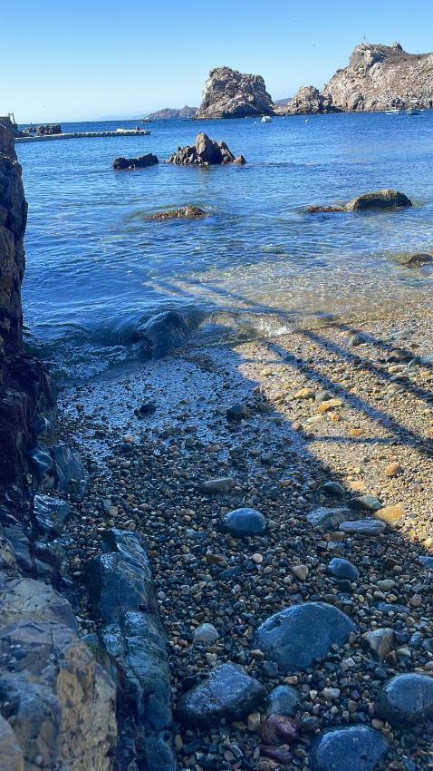 Casa Caleta Vieja Pichidangui