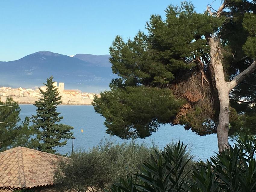 Cap Antibes Les Bosquets