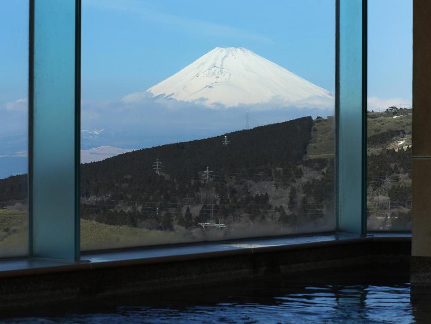 Fuji Hakone Land Schole Plaza Hotel
