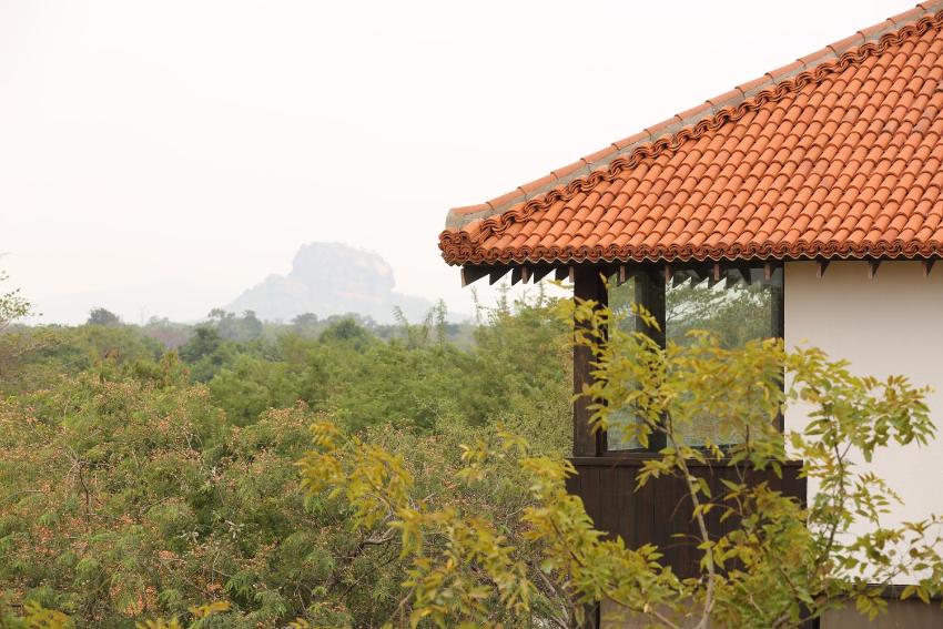Sigiriya Jungles