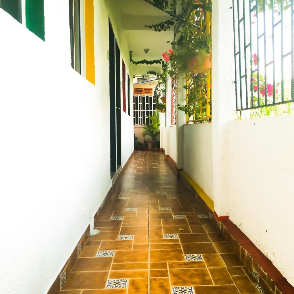 Foto 52