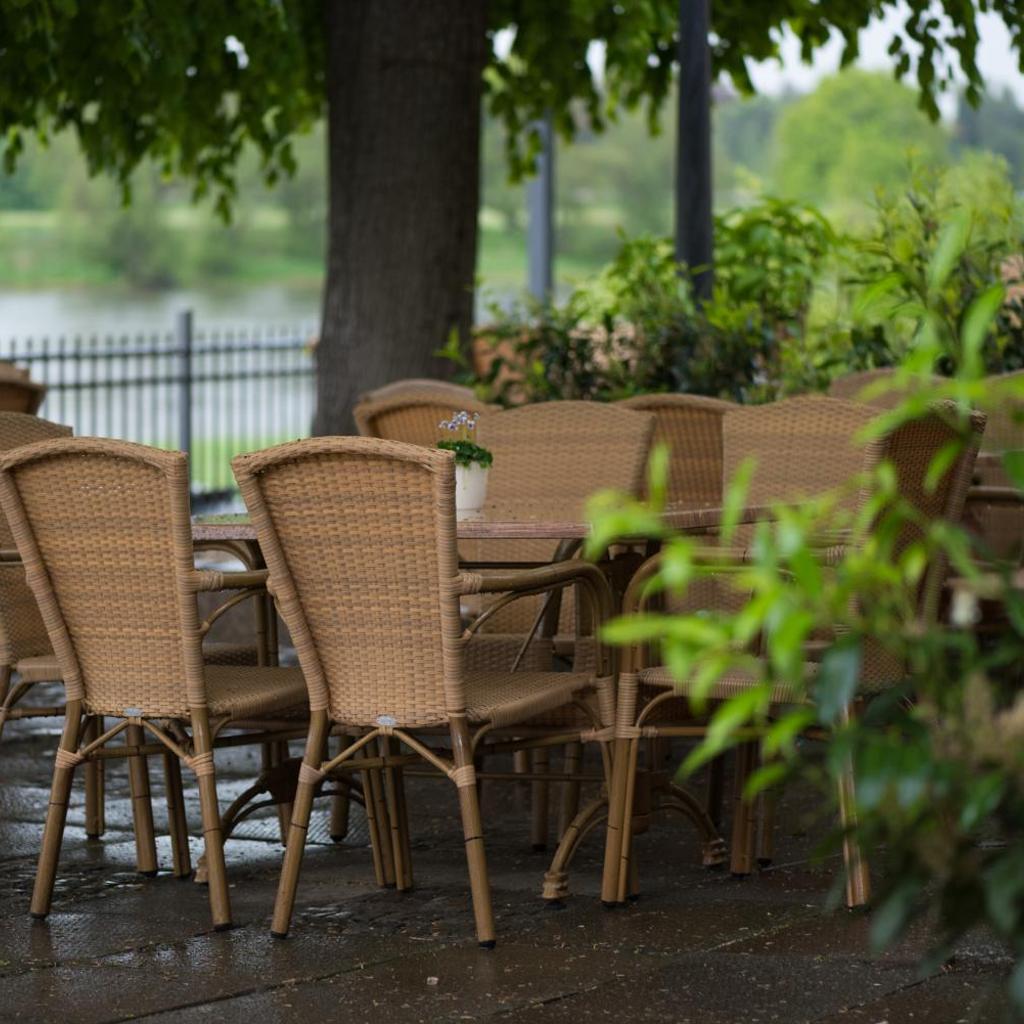 Photograph of Elbterrasse Wachwitz