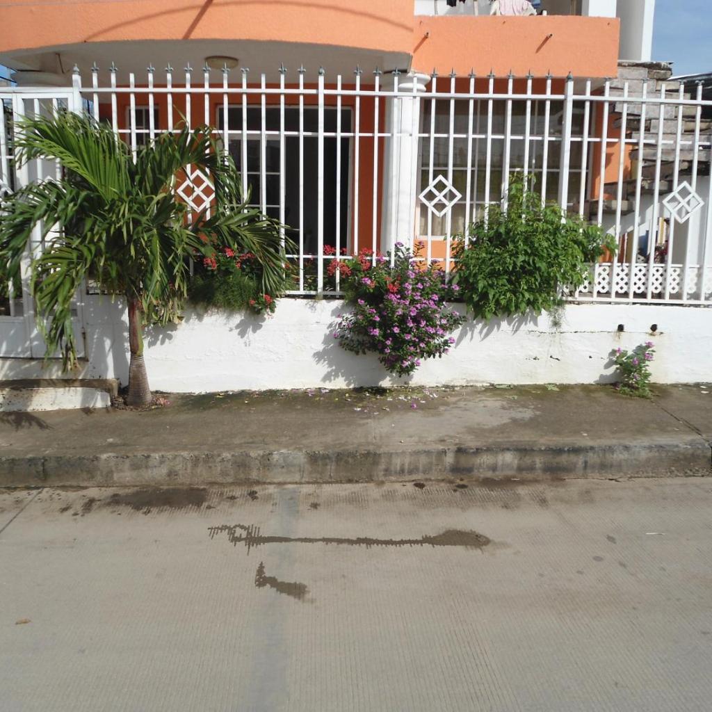 Foto 4