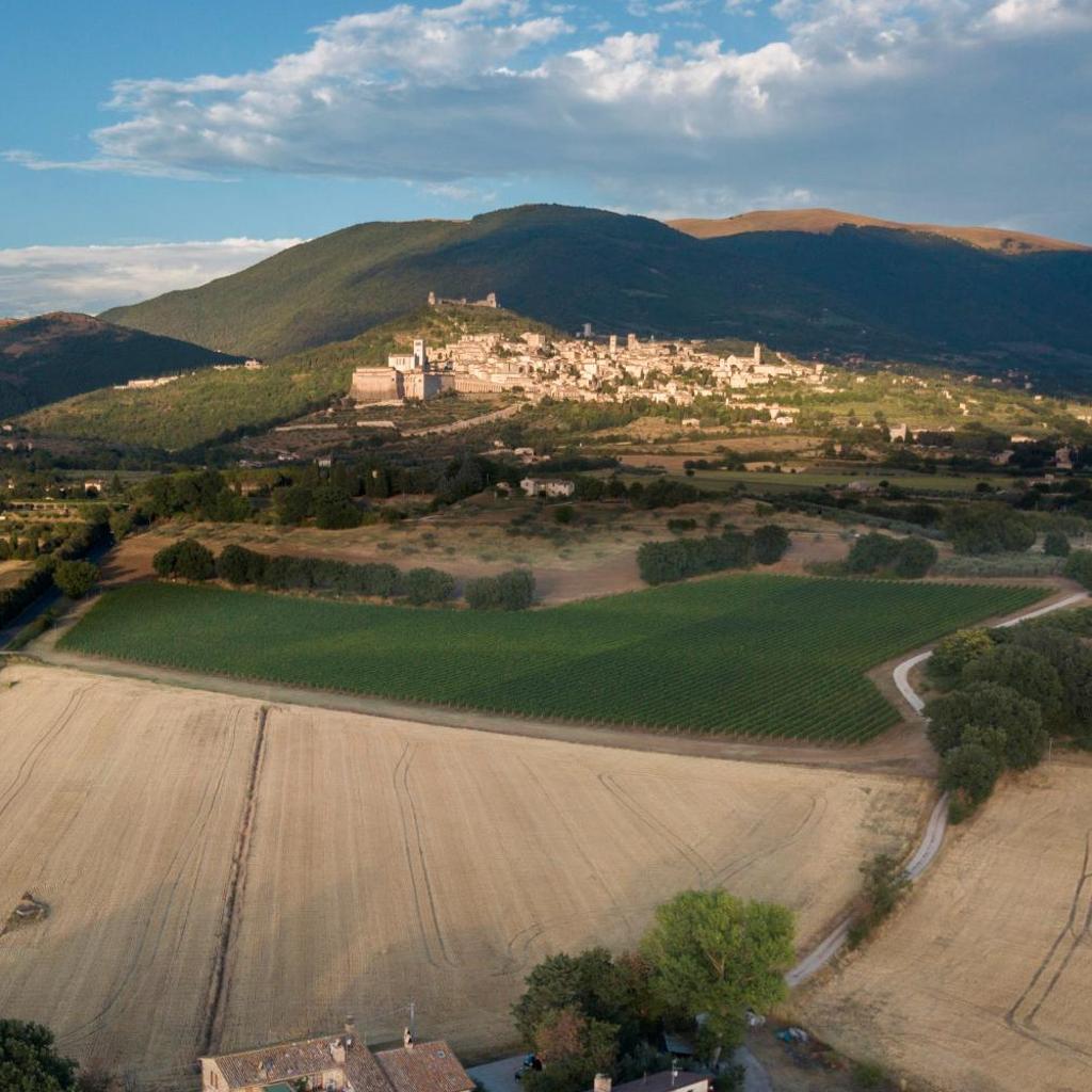 Camere I Monelli photo
