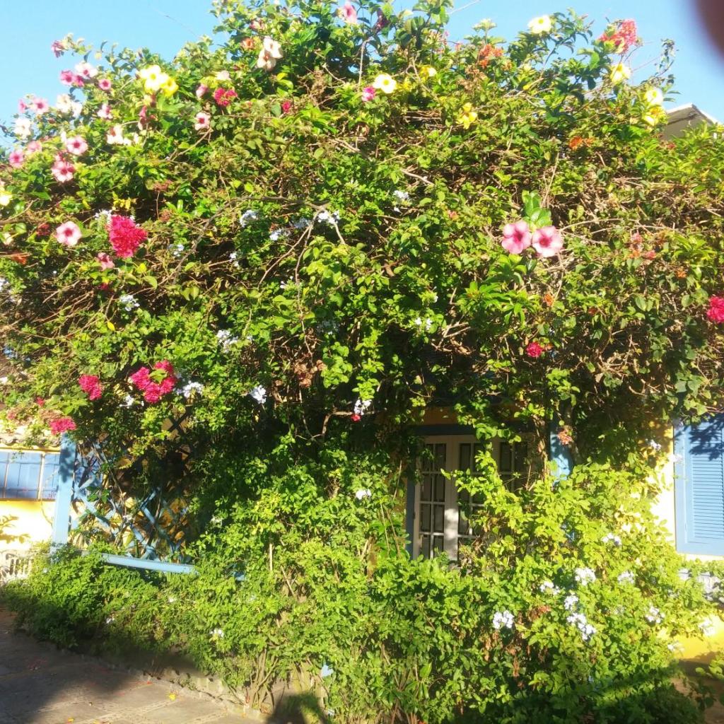Pousada Repouso do Guerreiro — foto 3