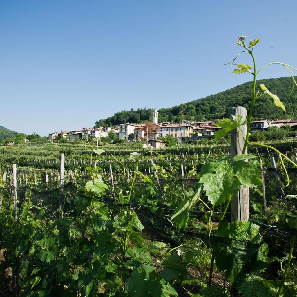 Charming B&B and Osteria La Crisalide – Bild