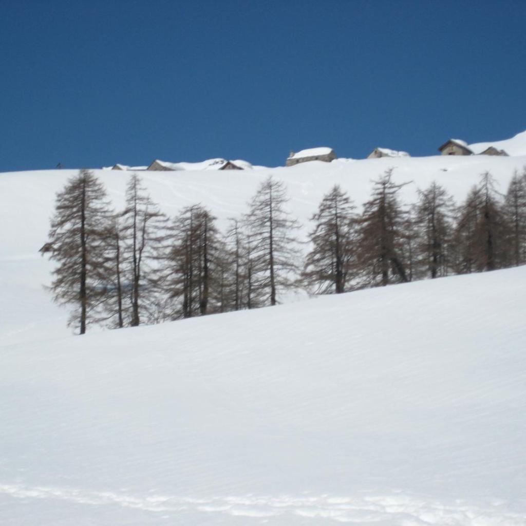 Image 28 - Walser App.31 Pozzi