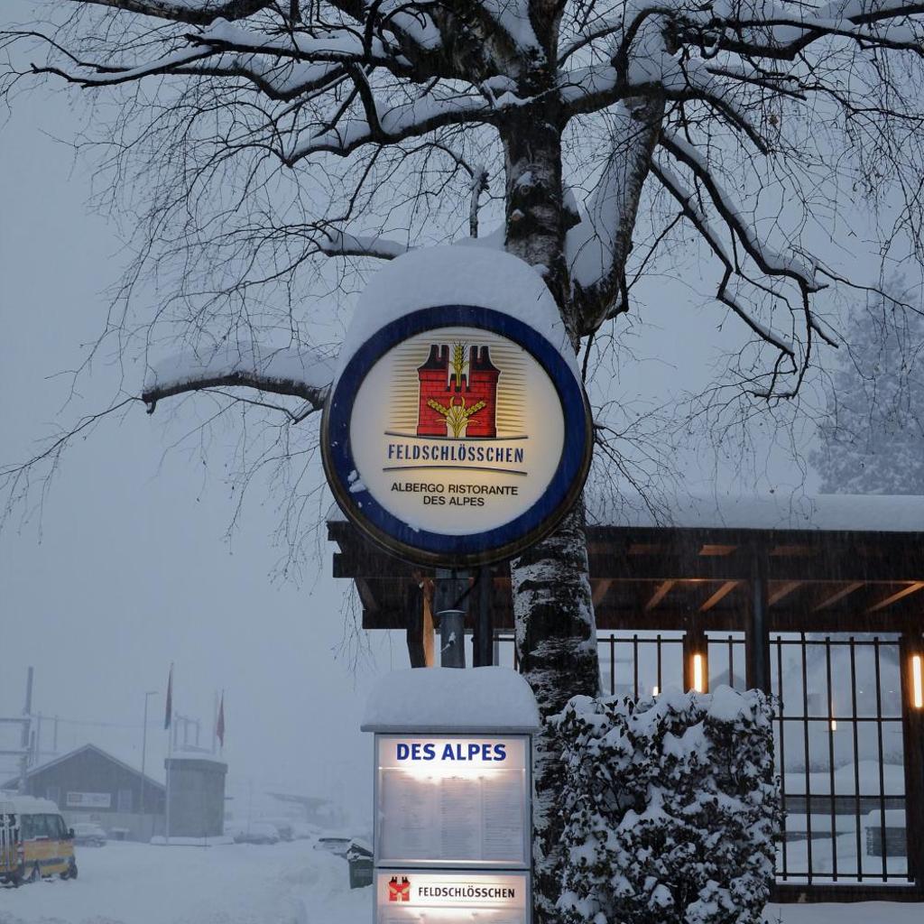 Hotel Des Alpes - Restaurant & Pizzeria – image