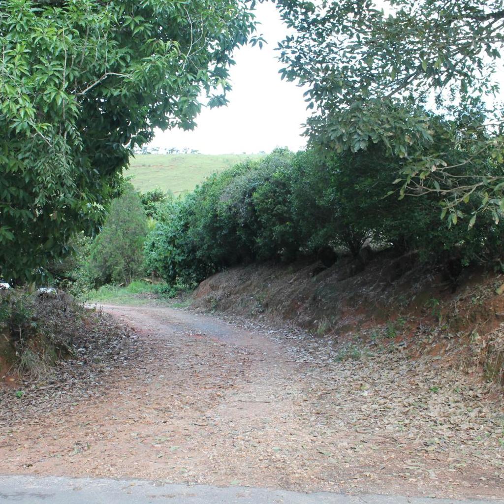 Quinta dos Paiva: horta natural e sossego — foto 6