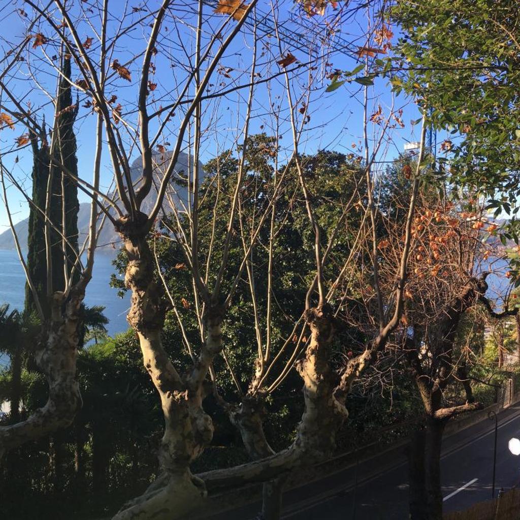 Hotel Firenze Lugano – Bild