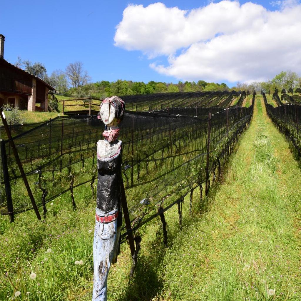 Wine & Art Relais Vallombrosa – Bild