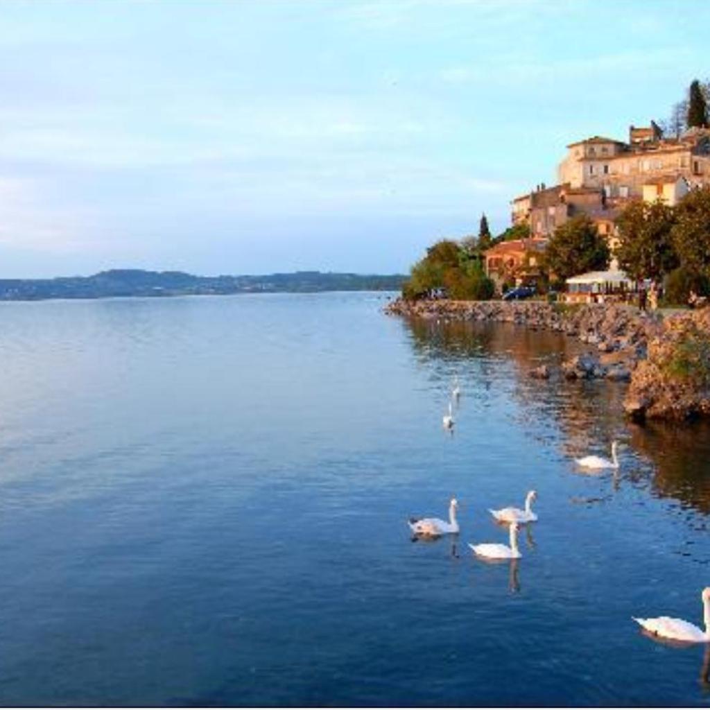 IL B&B DEL LAGO photo