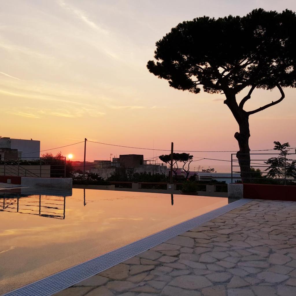 Albergo 'La Vigna' — 