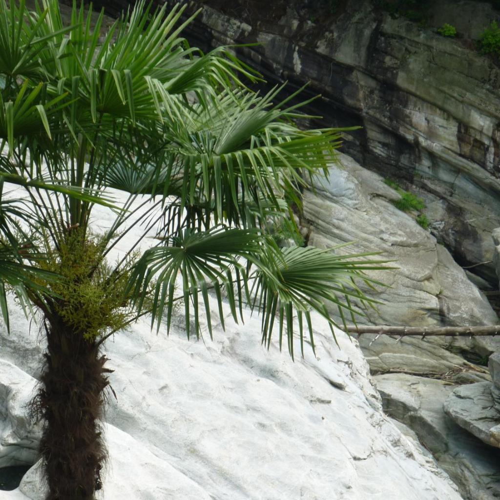 Charme Hotel Ristorante Tre Terre – image