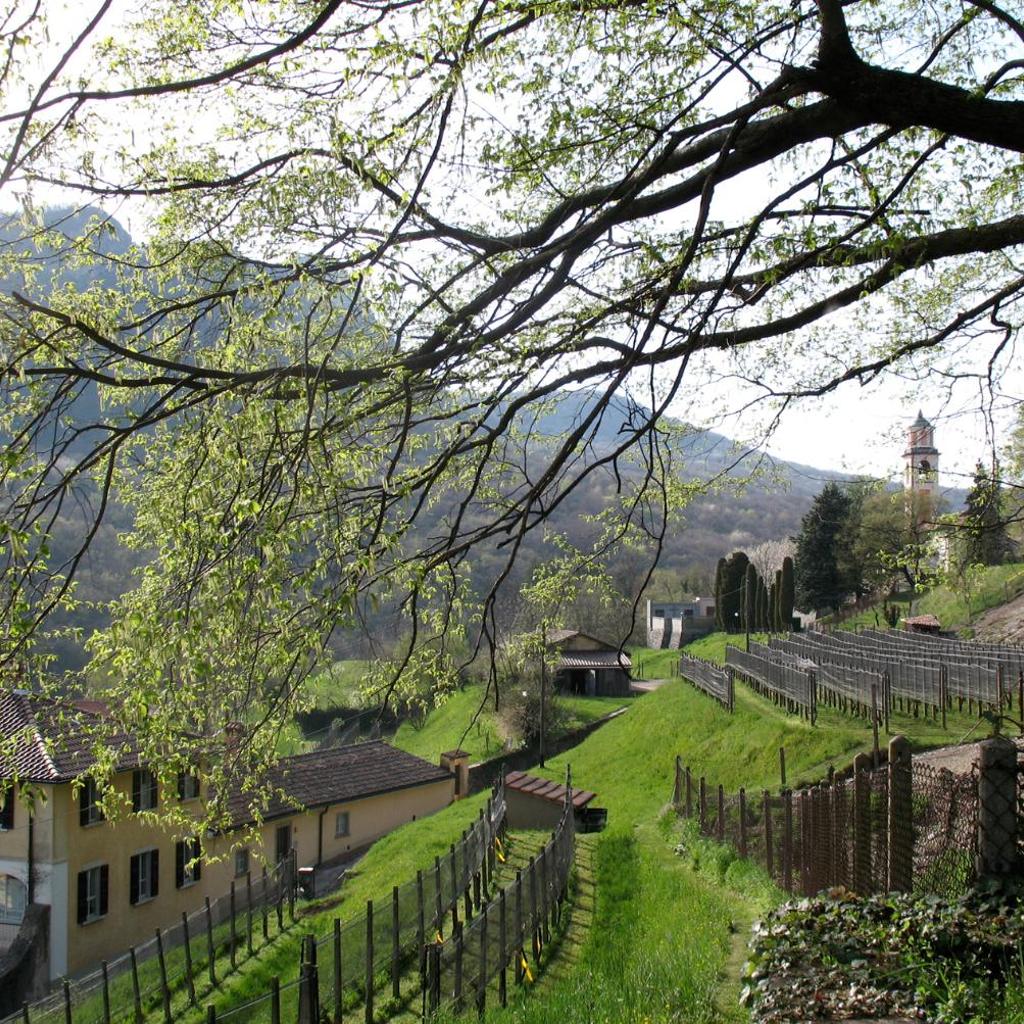 Charming B&B and Osteria La Crisalide – Bild