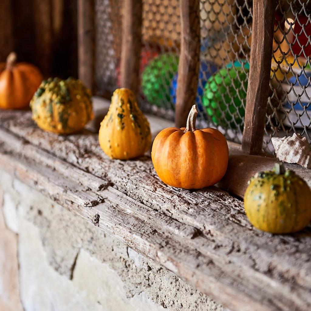 Charming B&B and Osteria La Crisalide – Bild