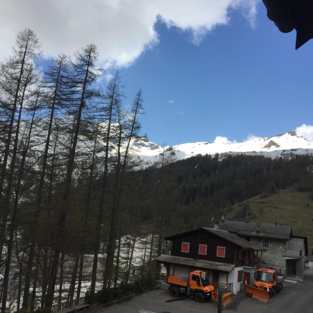 Image 12 - Walser App.31 Pozzi
