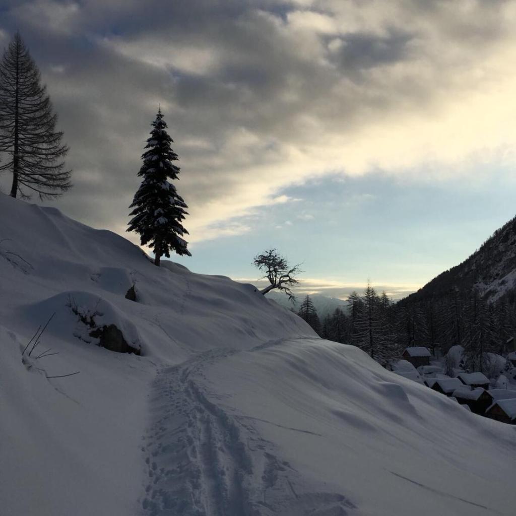 Image 9 - Walser App.31 Pozzi