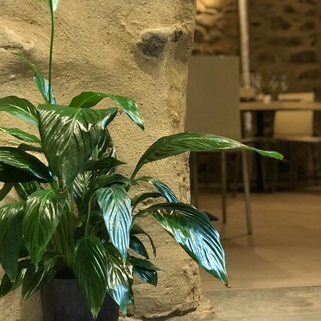 B&B Osteria Morganti – image