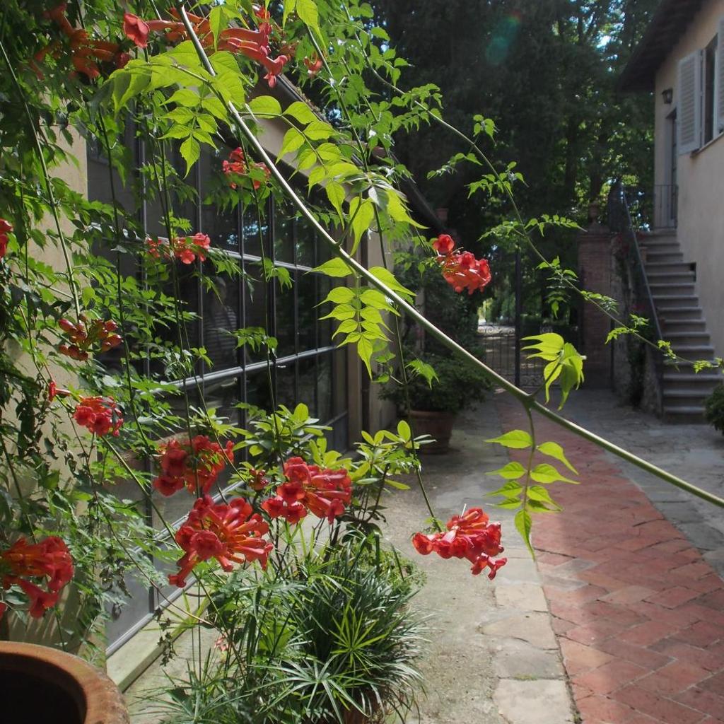 Photograph of I Parigi Corbinelli Residenze