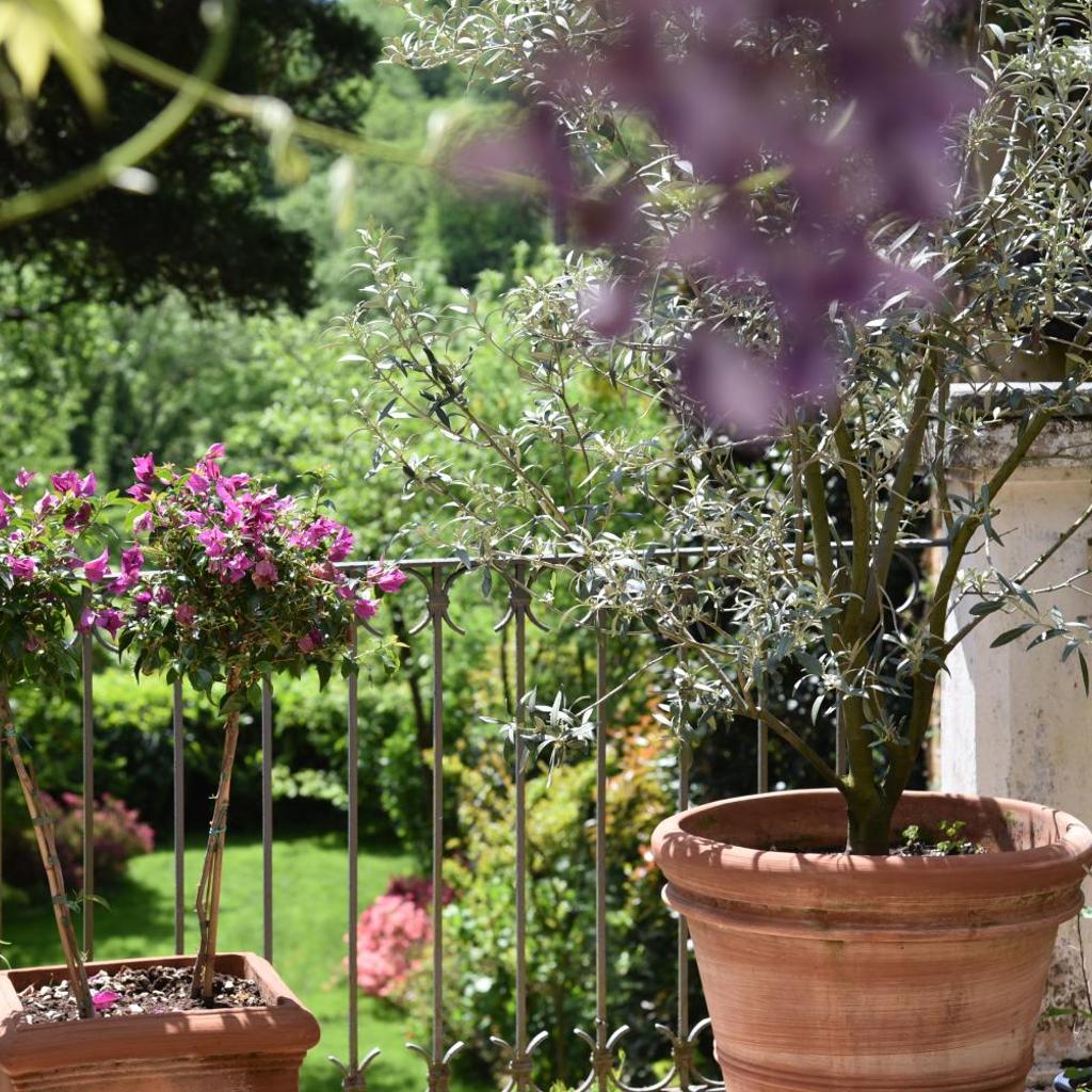 Chez Marianne "chambres d'hôtes" – image