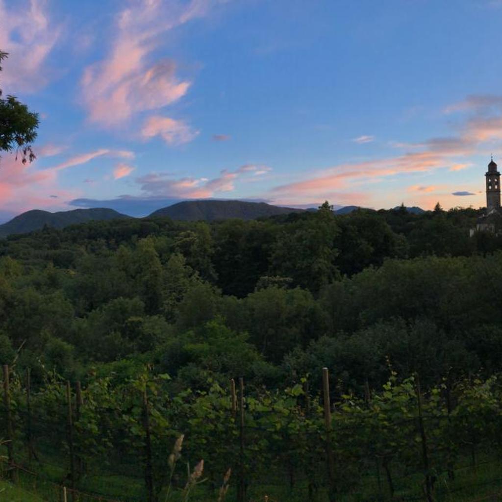 Chez Marianne "chambres d'hôtes" – image