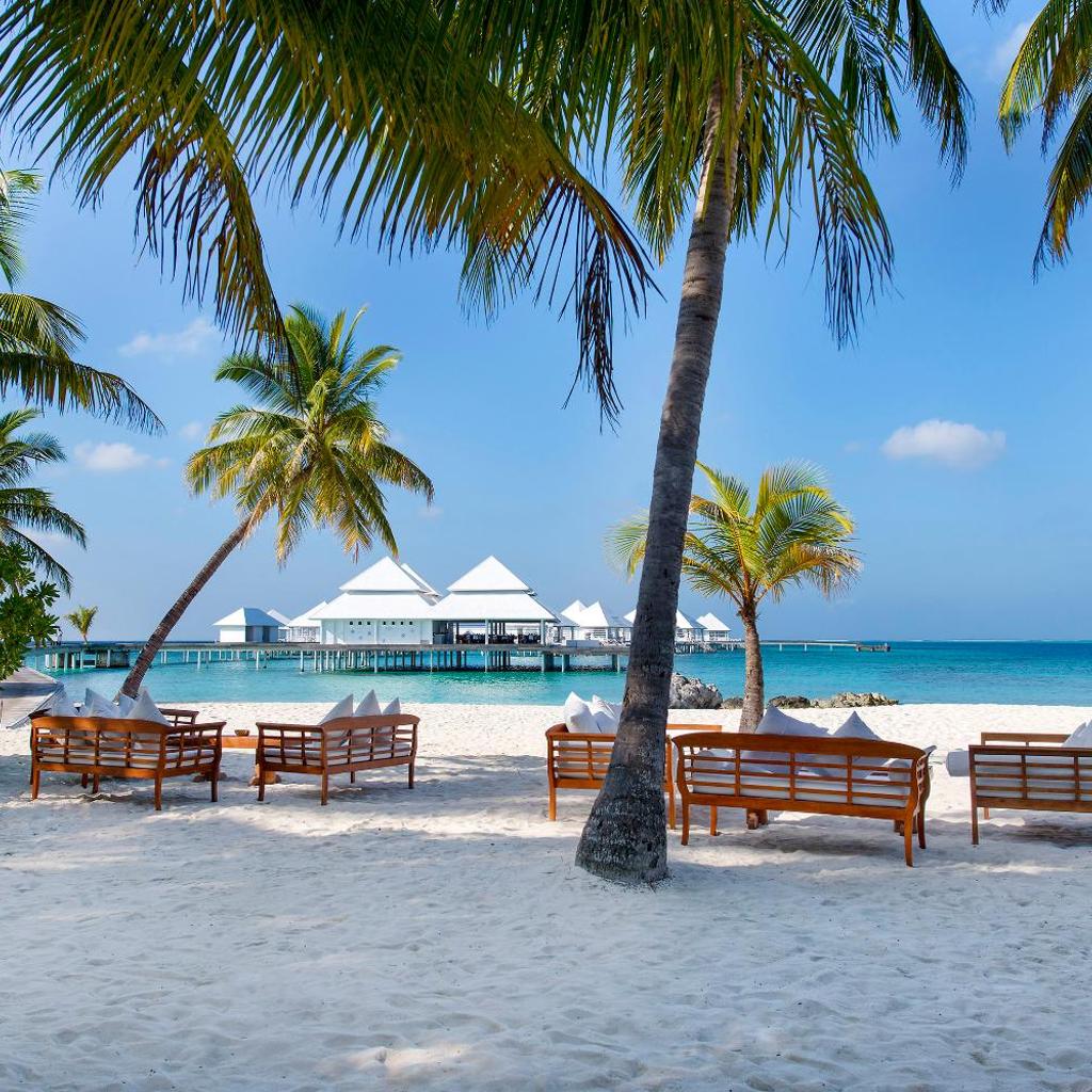 Diamonds Thudufushi Beach and Water Villas, photo 5