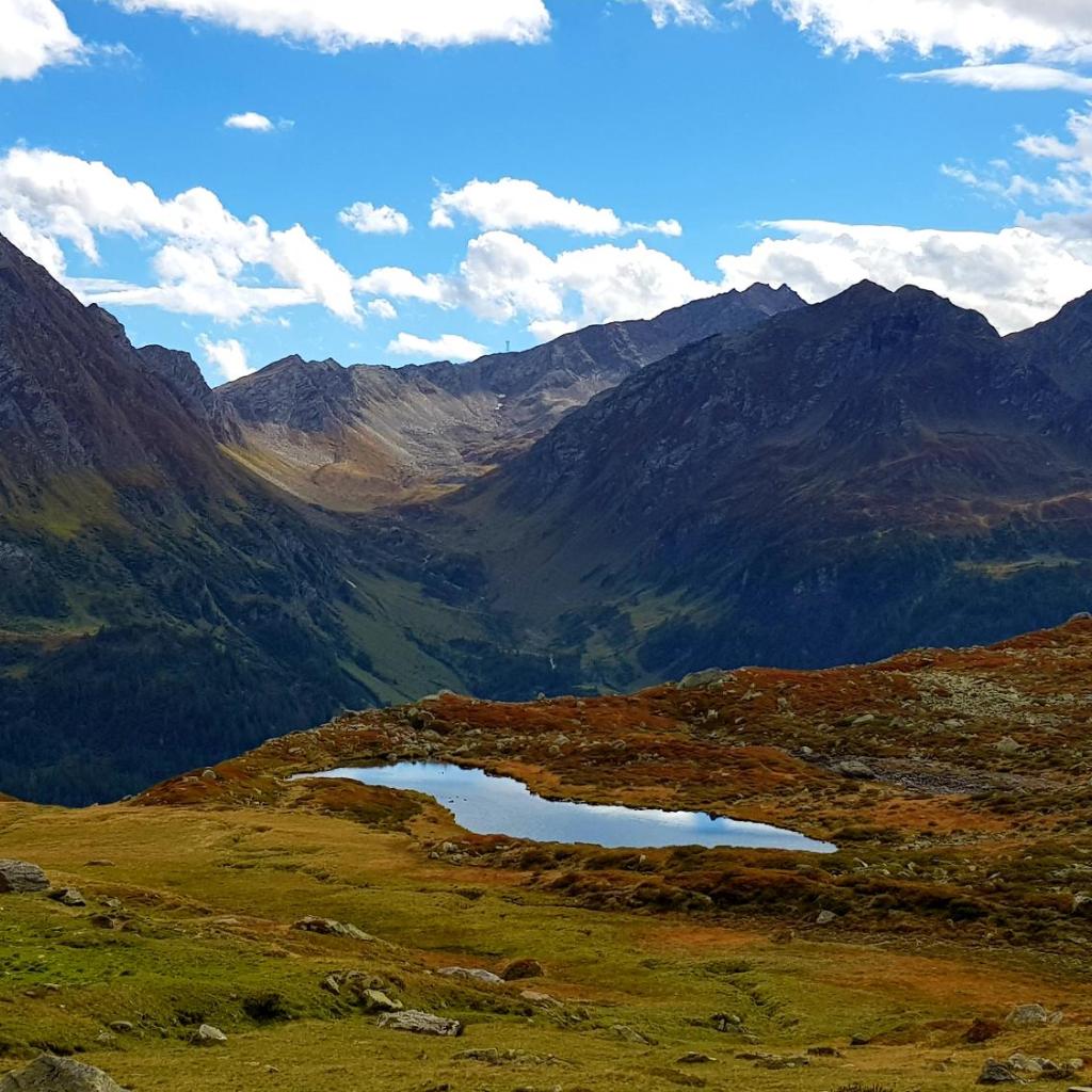 Hotel Des Alpes - Restaurant & Pizzeria – image