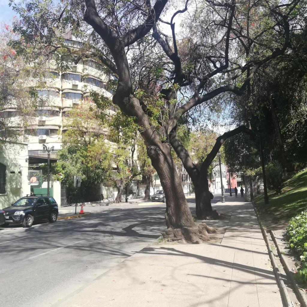 Foto 34