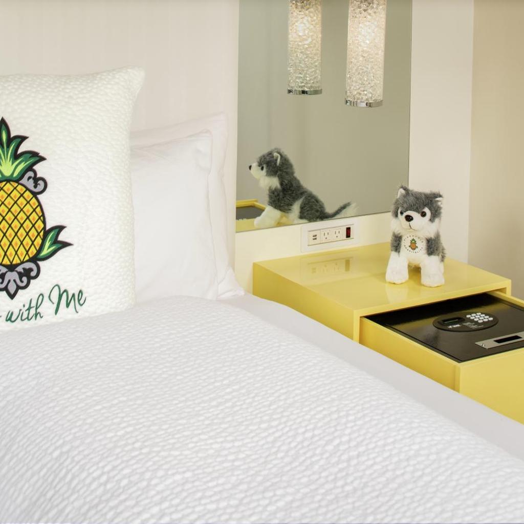 Photograph of Staypineapple, A Delightful Hotel, South End