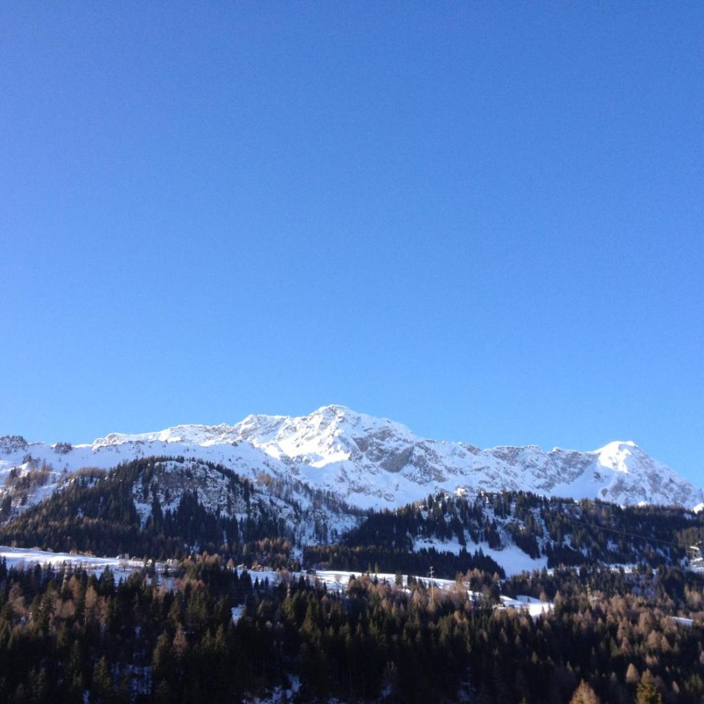 Hotel Des Alpes - Restaurant & Pizzeria – image