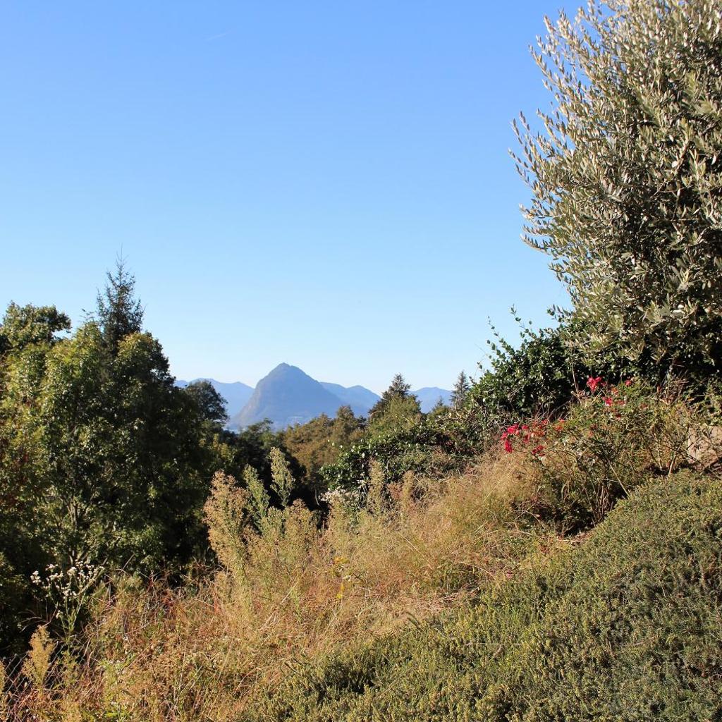 MT's Cosy Place – immagine