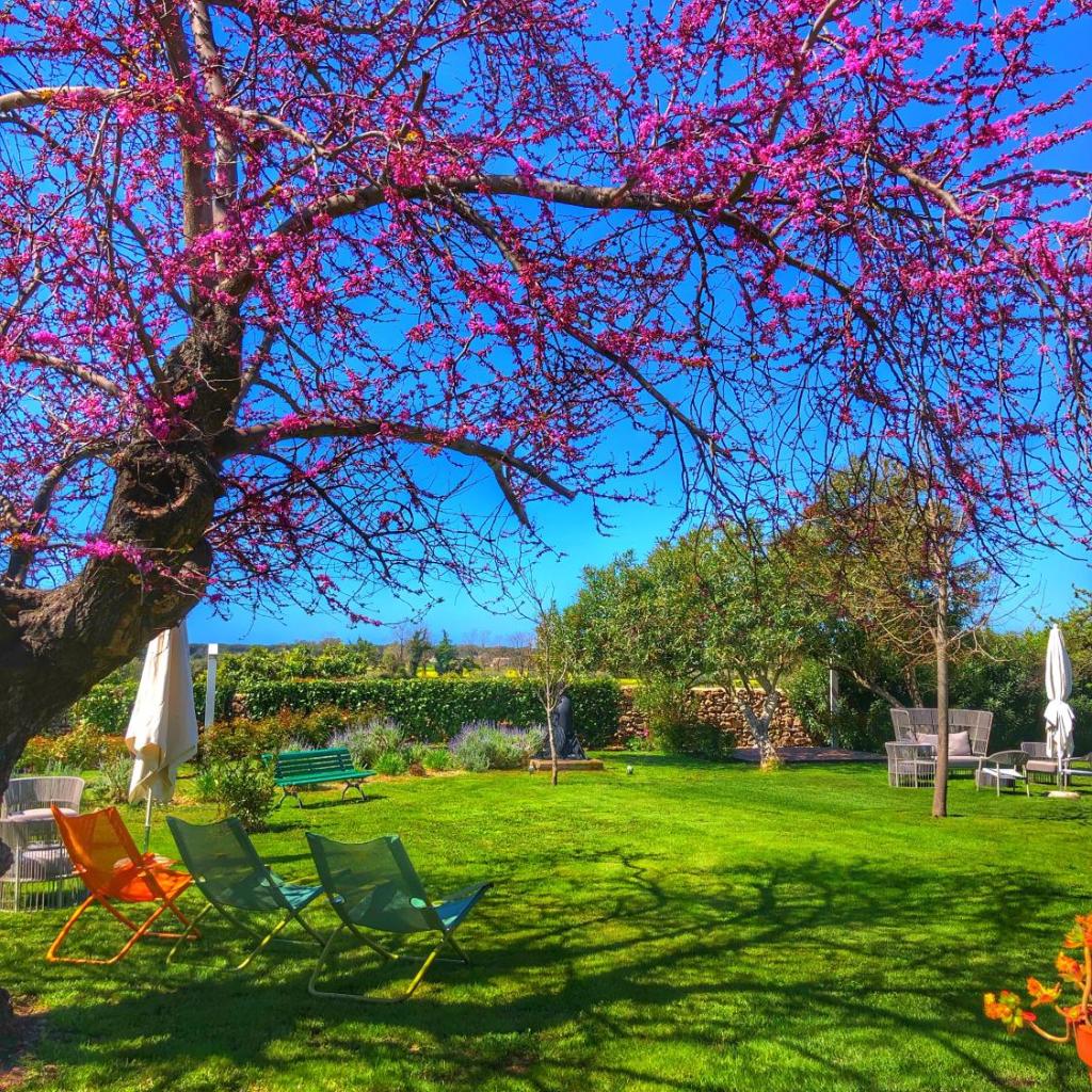 Tenuta Duca Marigliano Boutique Hotel — 