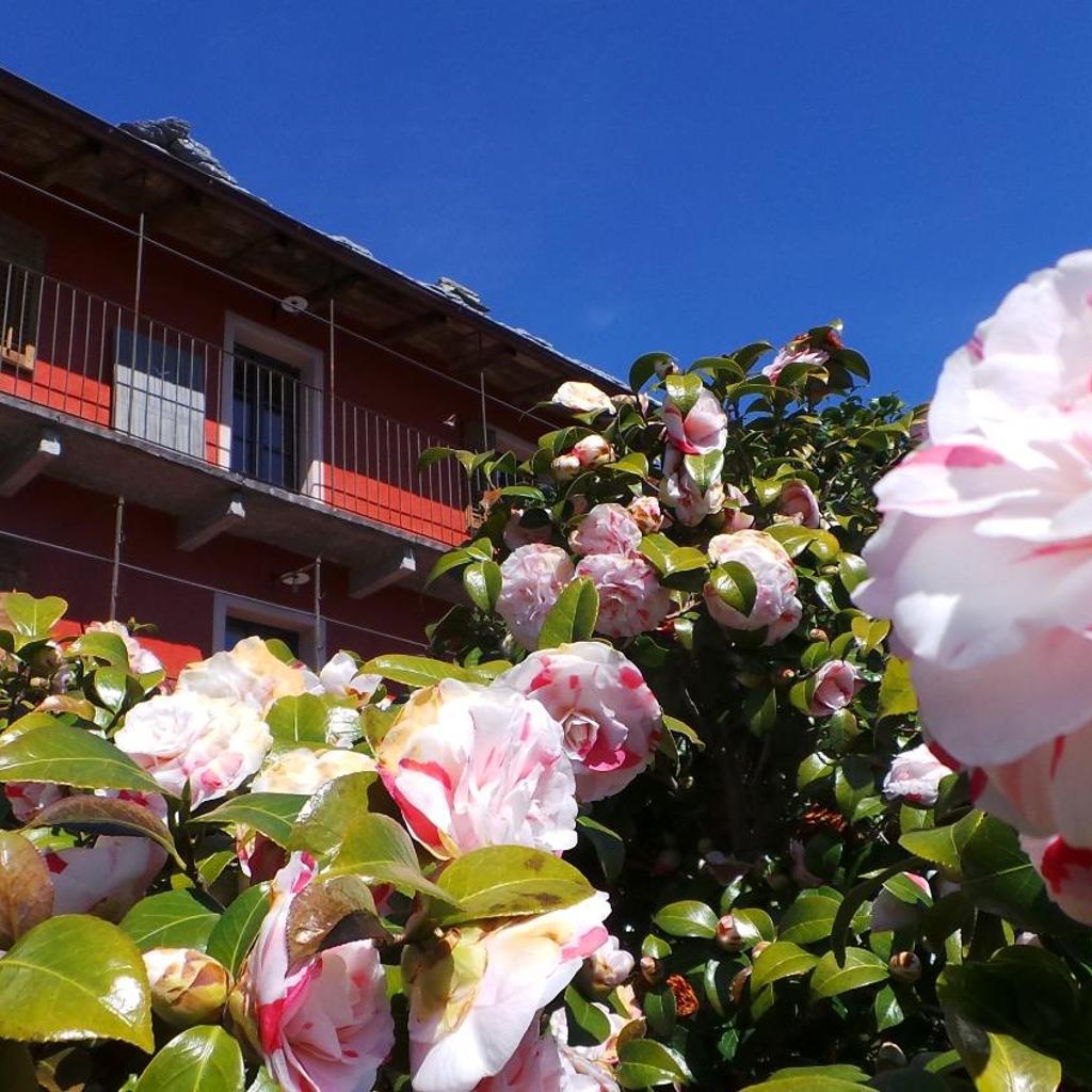 Case di Sotto, House & Breakfast – image