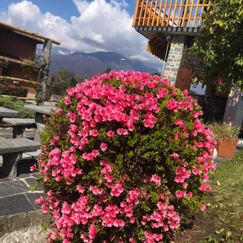 Al Grottino – image